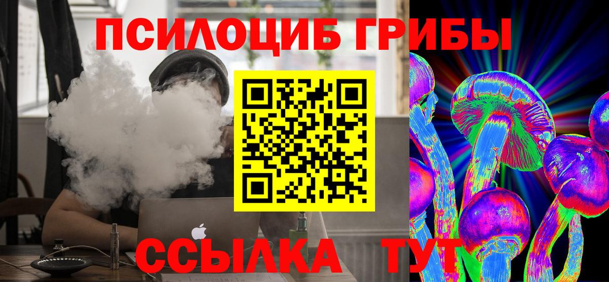 Псилоцибиновые грибы MAGIC MUSHROOMS  наркотики  Касимов  Вход с VPN  Псилоцибиновые грибы GOLDEN TEACHER 